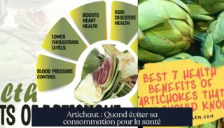 Artichaut : Quand éviter sa consommation pour la santé