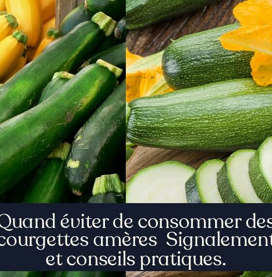 Quand éviter de consommer des courgettes amères Signalement et conseils pratiques.