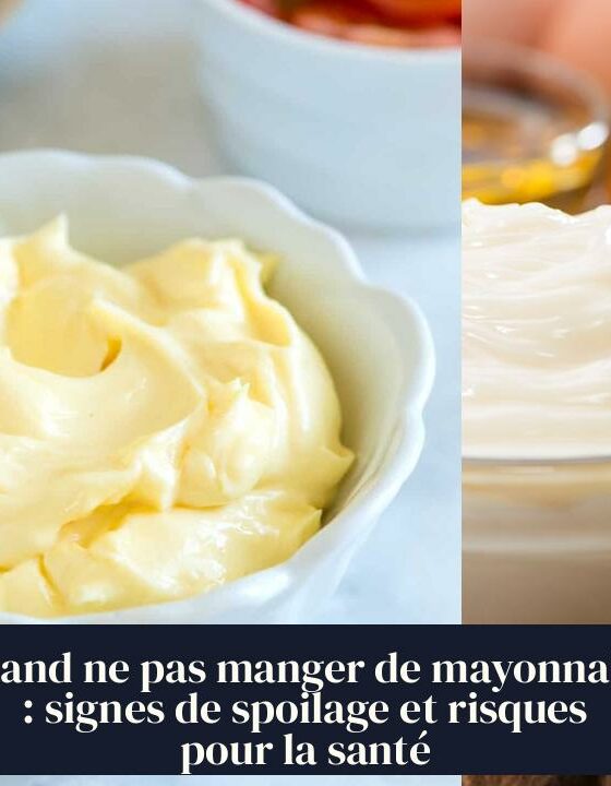 Quand ne pas manger de mayonnaise : signes de spoilage et risques pour la santé