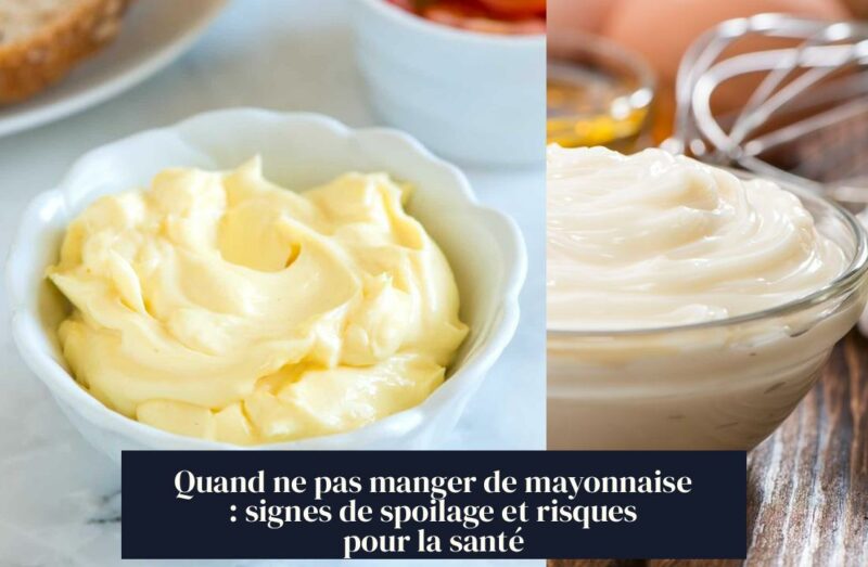 Quand ne pas manger de mayonnaise : signes de spoilage et risques pour la santé
