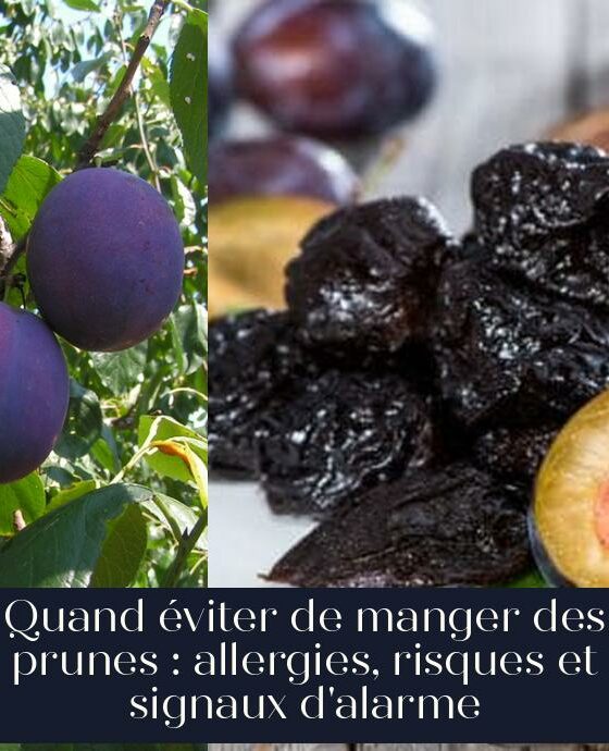 Quand éviter de manger des prunes : allergies, risques et signaux d'alarme