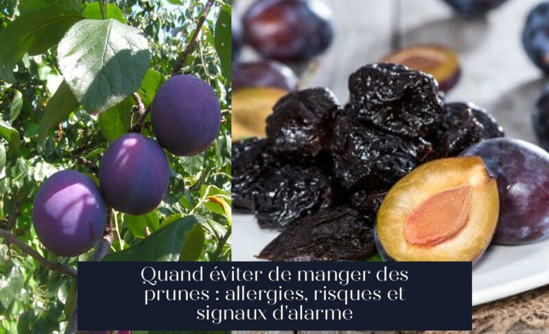 Quand éviter de manger des prunes : allergies, risques et signaux d'alarme