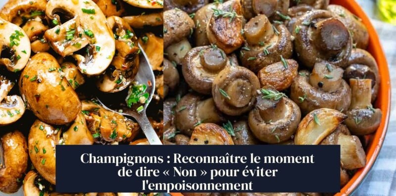 Champignons : Reconnaître le moment de dire « Non » pour éviter l'empoisonnement