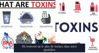 Où trouvent-on le plus de toxines dans notre quotidien