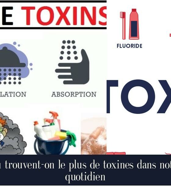 Où trouvent-on le plus de toxines dans notre quotidien