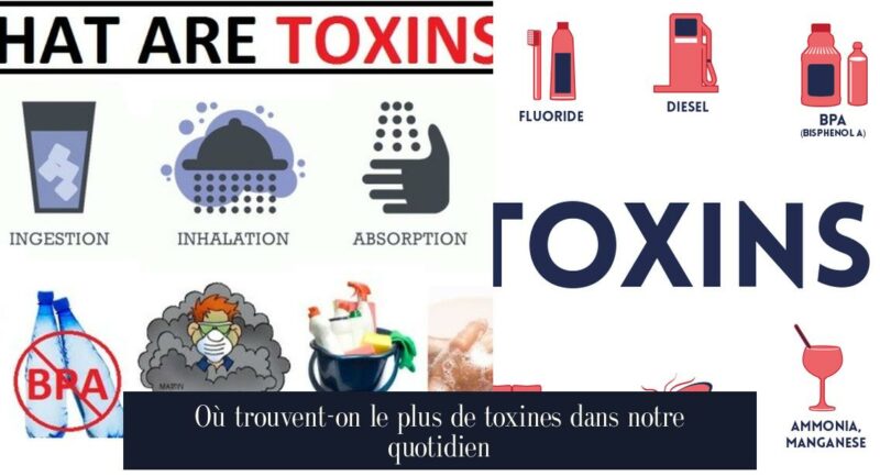 Où trouvent-on le plus de toxines dans notre quotidien