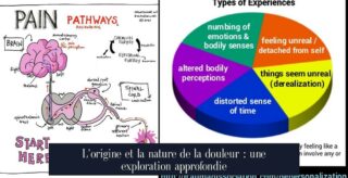 L'origine et la nature de la douleur : une exploration approfondie
