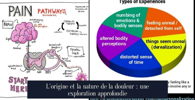 L'origine et la nature de la douleur : une exploration approfondie