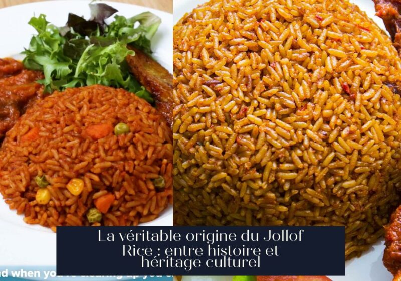 La véritable origine du Jollof Rice : entre histoire et héritage culturel