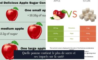 Quelle pomme contient le plus de sucre et ses impacts sur la santé