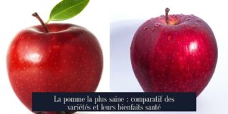 La pomme la plus saine : comparatif des variétés et leurs bienfaits santé