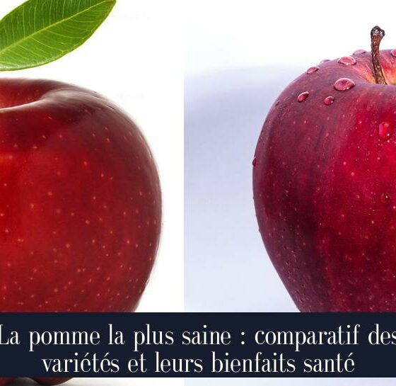 La pomme la plus saine : comparatif des variétés et leurs bienfaits santé