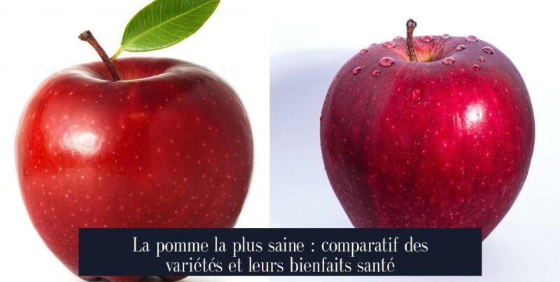 La pomme la plus saine : comparatif des variétés et leurs bienfaits santé
