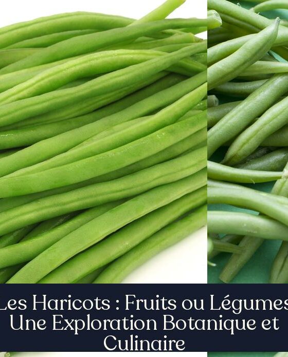Les Haricots : Fruits ou Légumes Une Exploration Botanique et Culinaire