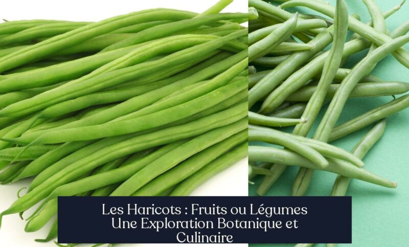 Les Haricots : Fruits ou Légumes Une Exploration Botanique et Culinaire