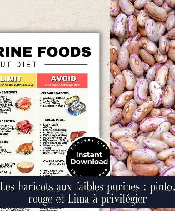 Les haricots aux faibles purines : pinto, rouge et Lima à privilégier