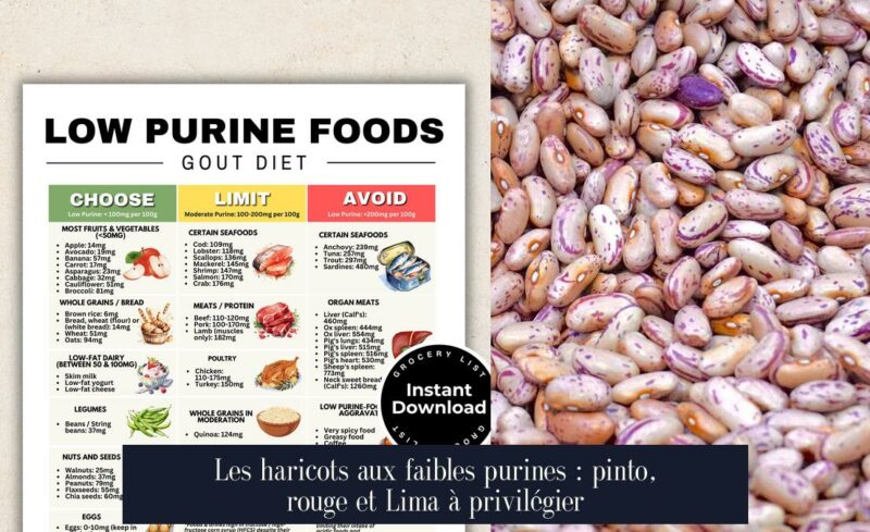 Les haricots aux faibles purines : pinto, rouge et Lima à privilégier