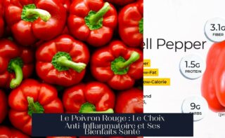 Le Poivron Rouge : Le Choix Anti-Inflammatoire et Ses Bienfaits Santé