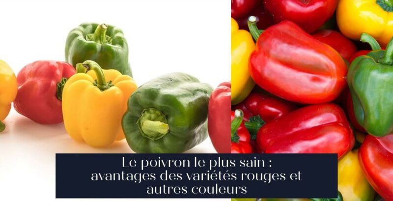 Le poivron le plus sain : avantages des variétés rouges et autres couleurs