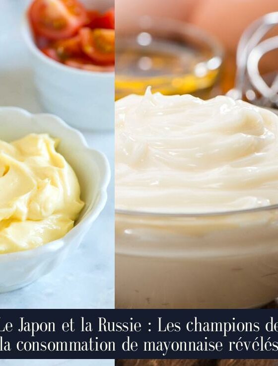 Le Japon et la Russie : Les champions de la consommation de mayonnaise révélés
