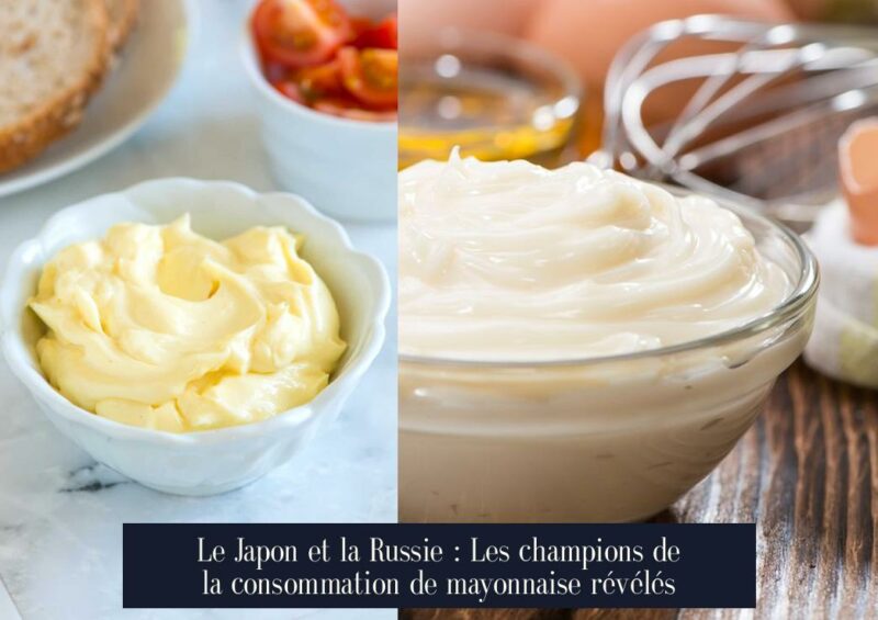 Le Japon et la Russie : Les champions de la consommation de mayonnaise révélés