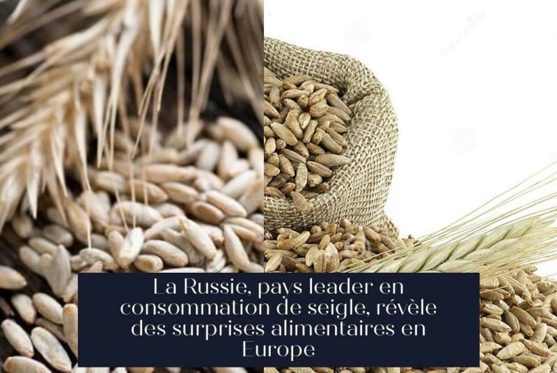 La Russie, pays leader en consommation de seigle, révèle des surprises alimentaires en Europe