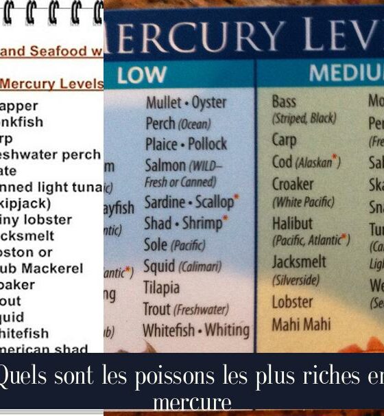 Quels sont les poissons les plus riches en mercure