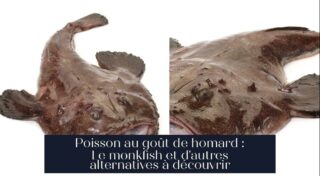 Poisson au goût de homard : Le monkfish et d'autres alternatives à découvrir
