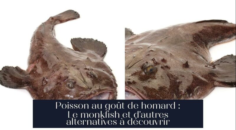 Poisson au goût de homard : Le monkfish et d'autres alternatives à découvrir