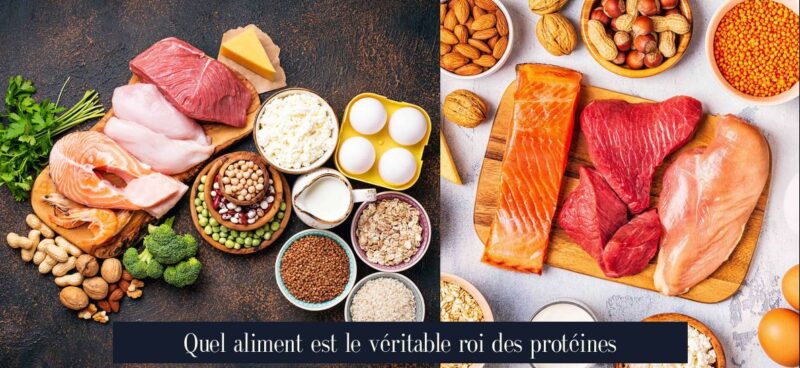 Quel aliment est le véritable roi des protéines