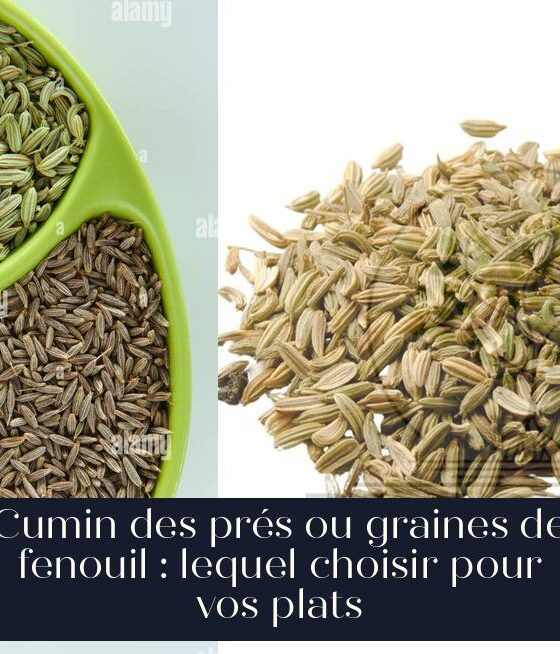 Cumin des prés ou graines de fenouil : lequel choisir pour vos plats