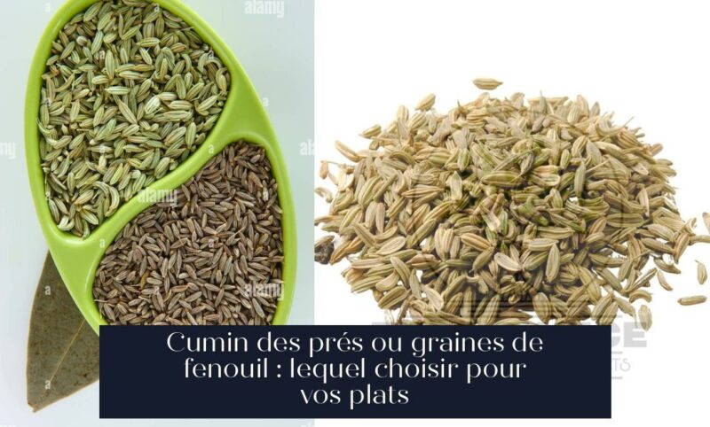 Cumin des prés ou graines de fenouil : lequel choisir pour vos plats