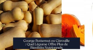 Courge Butternut ou Citrouille : Quel Légume Offre Plus de Bienfaits Nutrionnels