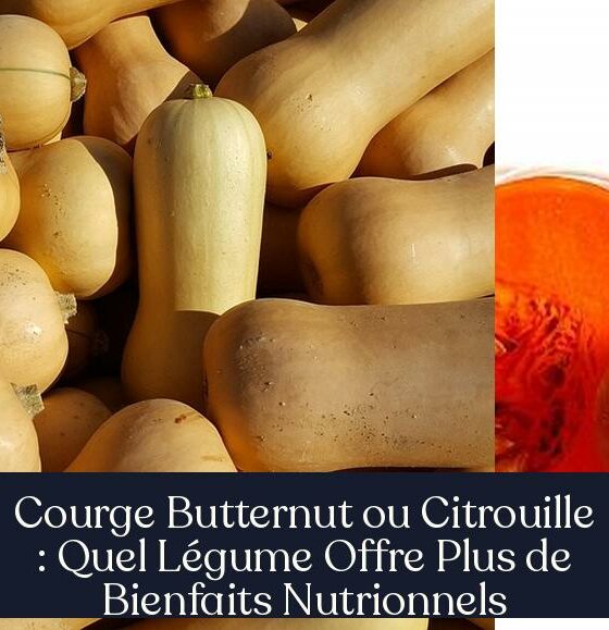 Courge Butternut ou Citrouille : Quel Légume Offre Plus de Bienfaits Nutrionnels