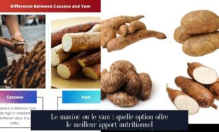 Le manioc ou le yam : quelle option offre le meilleur apport nutritionnel