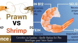 Crevettes ou Gambas : Quelle Option Est Plus Bénéfique pour Votre Santé
