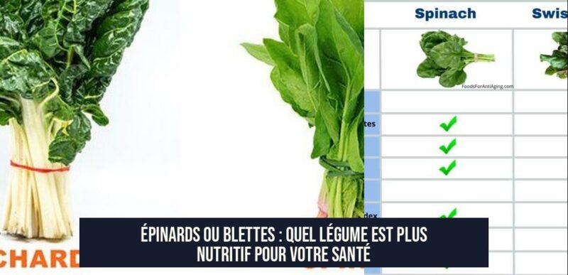 Épinards ou Blettes : Quel Légume Est Plus Nutritif pour Votre Santé
