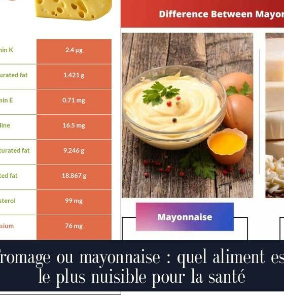 Fromage ou mayonnaise : quel aliment est le plus nuisible pour la santé