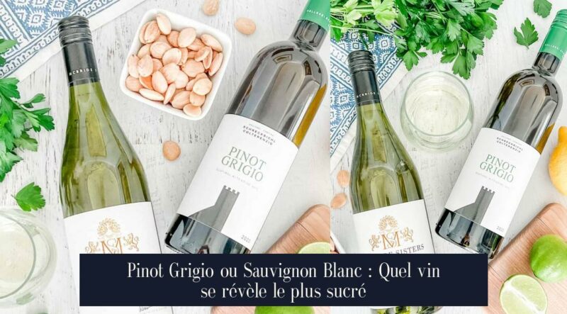 Pinot Grigio ou Sauvignon Blanc : Quel vin se révèle le plus sucré