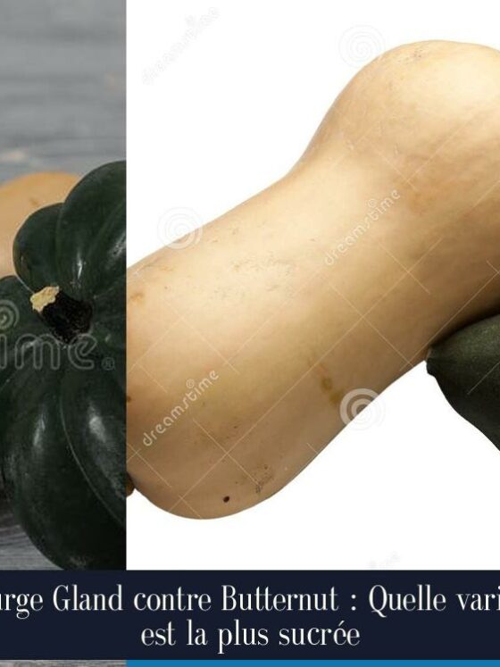 Courge Gland contre Butternut : Quelle variété est la plus sucrée