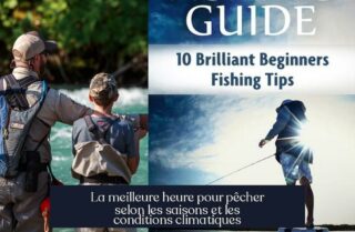 La meilleure heure pour pêcher selon les saisons et les conditions climatiques