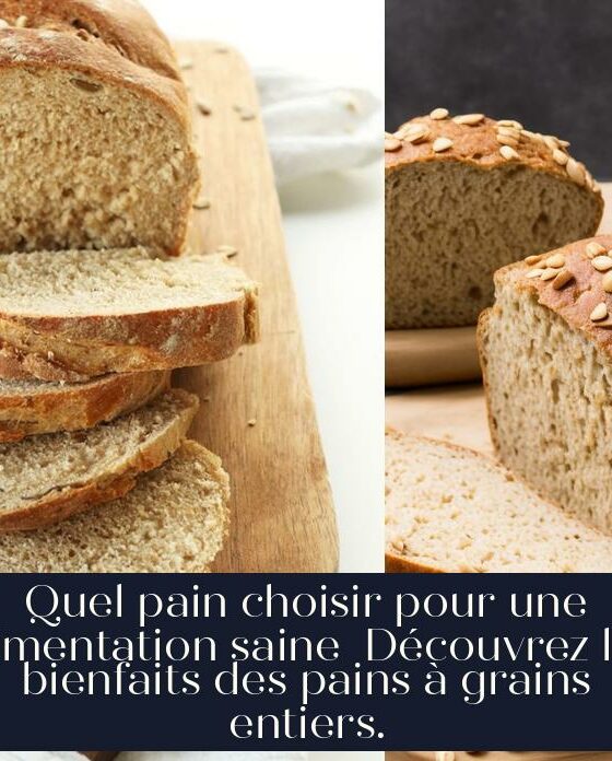 Quel pain choisir pour une alimentation saine Découvrez les bienfaits des pains à grains entiers.