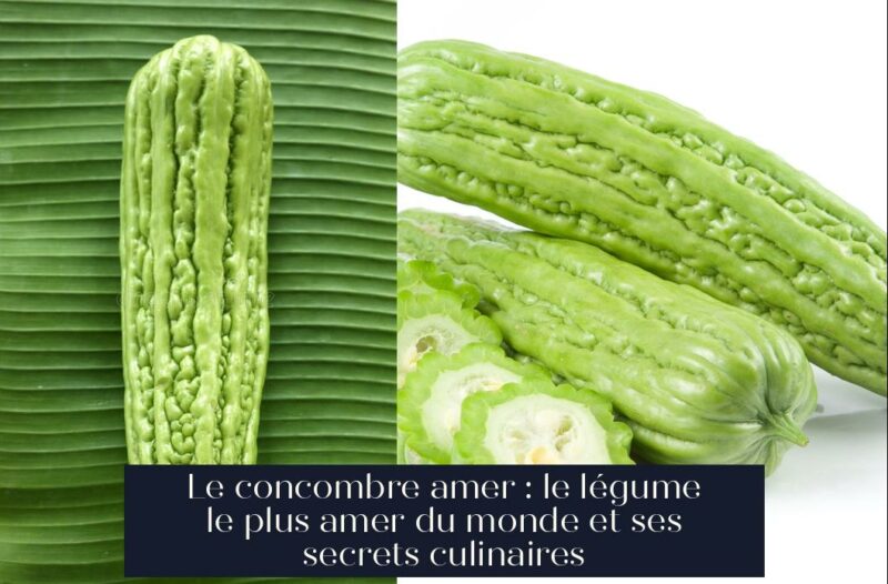Le concombre amer : le légume le plus amer du monde et ses secrets culinaires