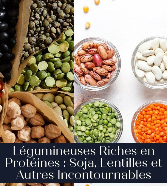Légumineuses Riches en Protéines : Soja, Lentilles et Autres Incontournables