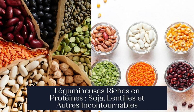 Légumineuses Riches en Protéines : Soja, Lentilles et Autres Incontournables