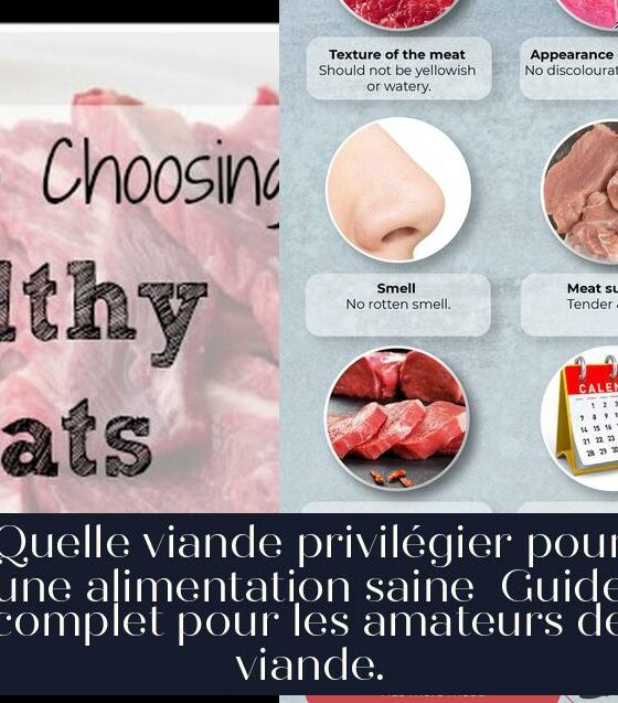 Quelle viande privilégier pour une alimentation saine Guide complet pour les amateurs de viande.