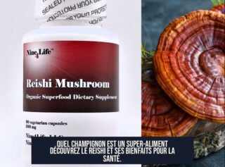 Quel champignon est un super-aliment Découvrez le Reishi et ses bienfaits pour la santé.