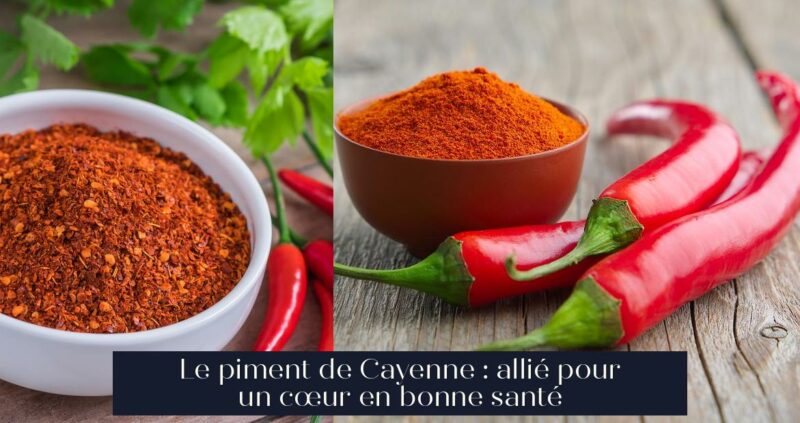 Le piment de Cayenne : allié pour un cœur en bonne santé