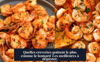 Quelles crevettes goûtent le plus comme le homard Les meilleures à déguster.