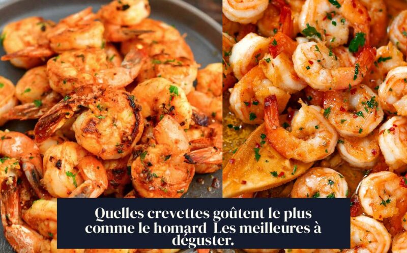 Quelles crevettes goûtent le plus comme le homard Les meilleures à déguster.